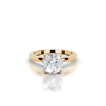 The Hazel Gold  