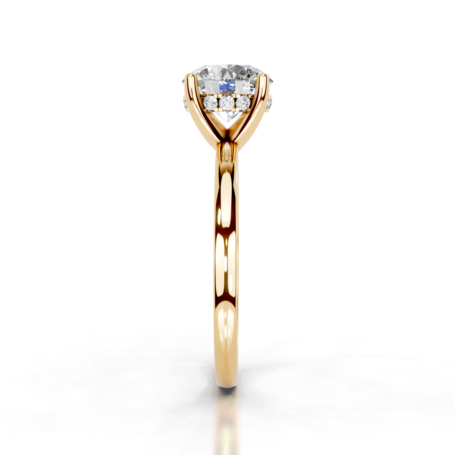 The Aurora Gold