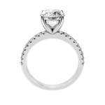 The Penelope White gold  
