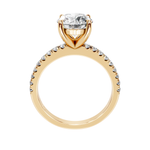 The Penelope Gold  