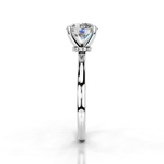The Charlotte White gold  