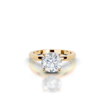 The Charlotte Gold  