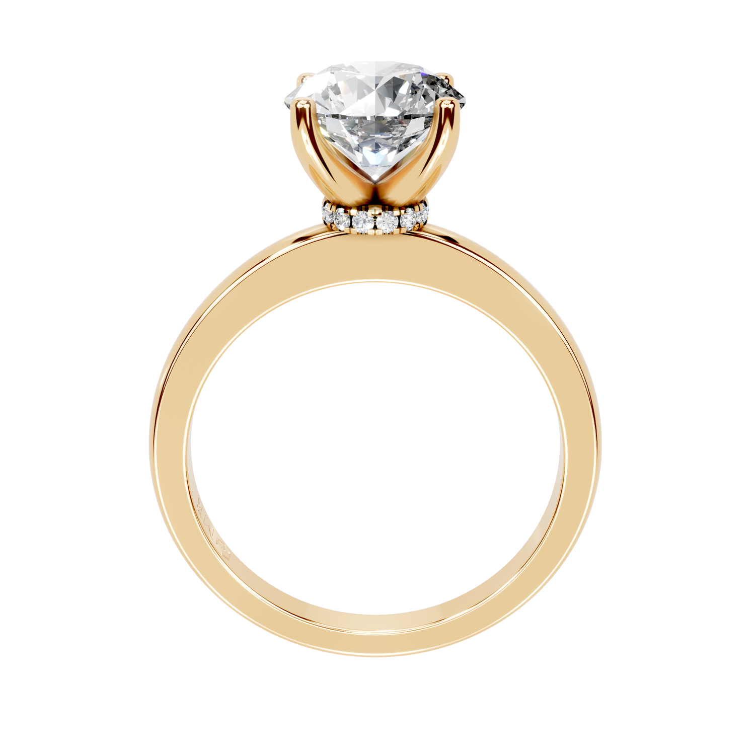 The Charlotte Gold