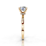 The Charlotte Gold  