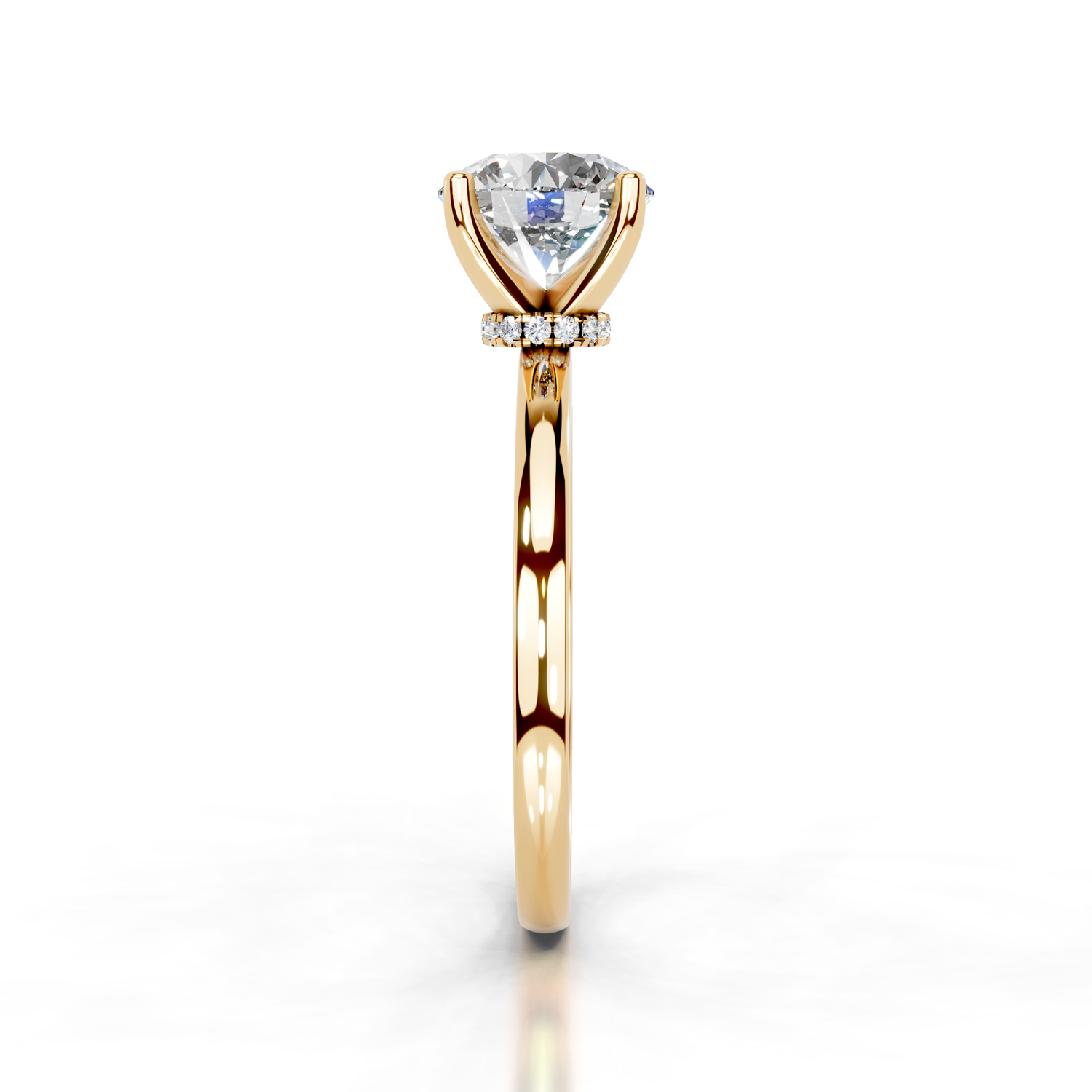 The Charlotte Gold
