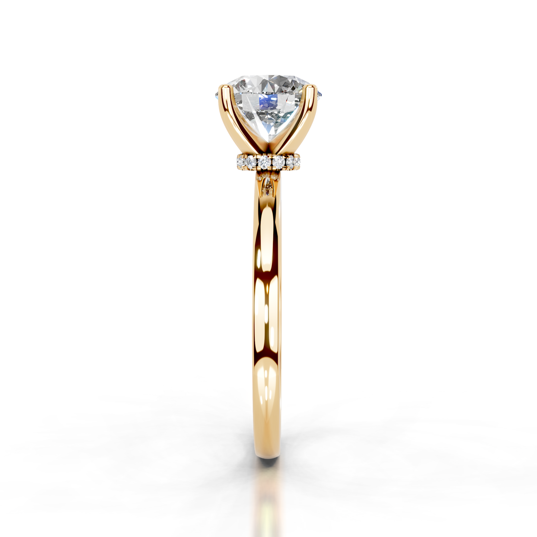 The Charlotte Gold  
