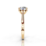 The Grace Gold  