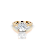 The Chloe Gold  