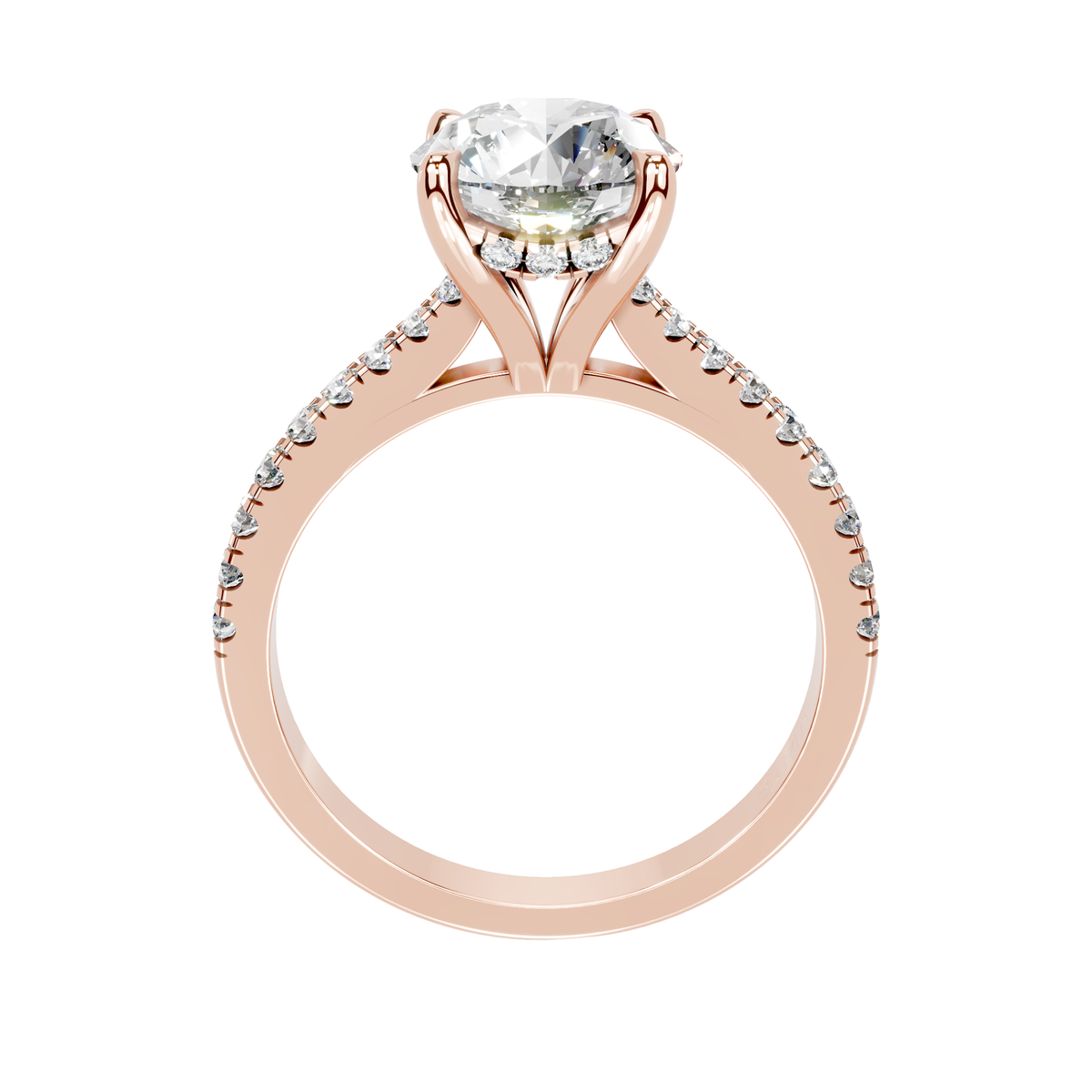 The Isabella Rose gold  