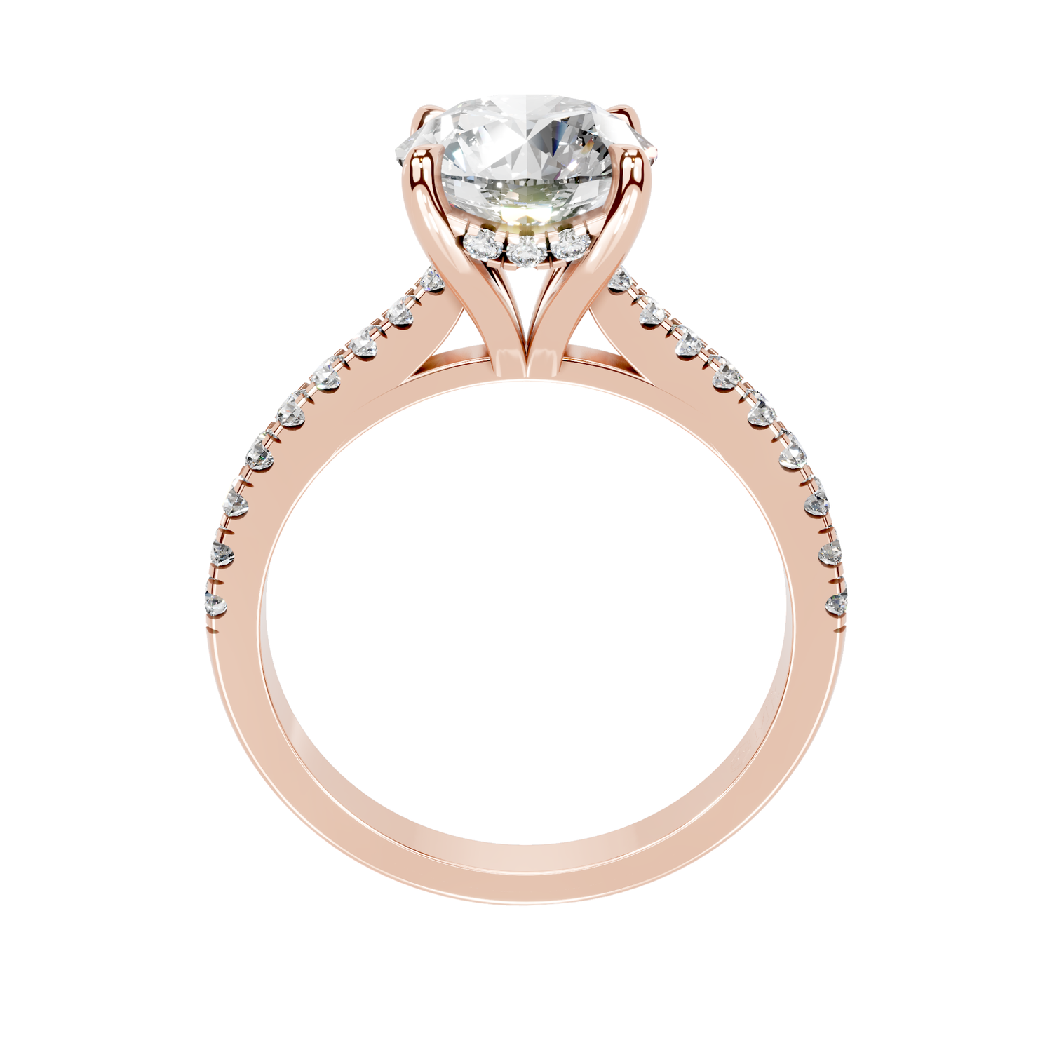 The Isabella Rose gold