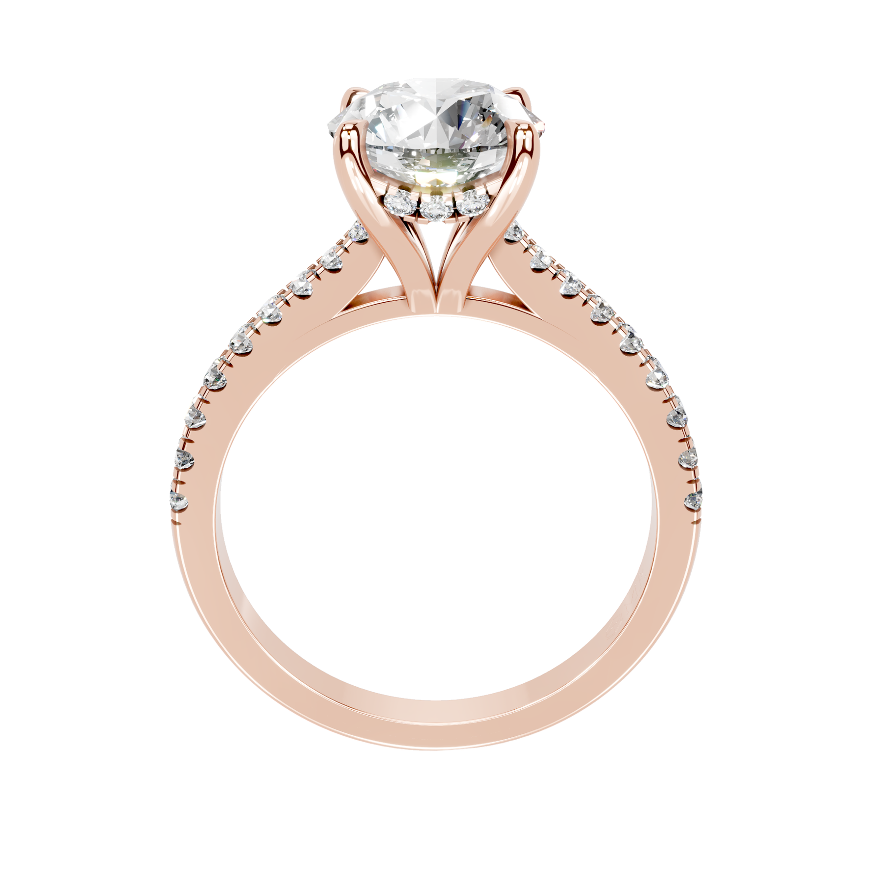 The Isabella Rose gold  