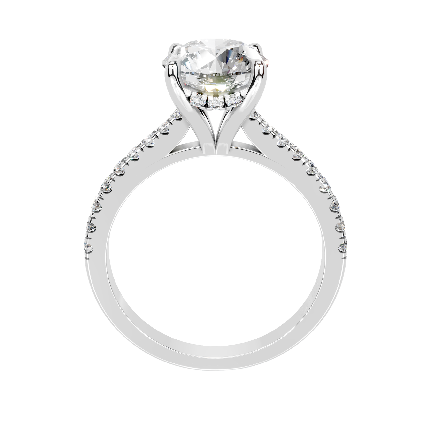 The Isabella White gold  