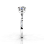 The Isabella White gold  