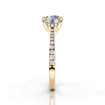 The Isabella Gold  