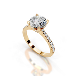 The Isabella Gold  