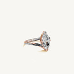 The Liane — MARQUISE 0.5 