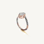 The Liane — OVAL 0.5 