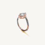 The Liane — PEAR 0.5 