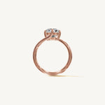 The Liane — ASSCHER 0.5 