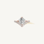 The Sagitta — ASSCHER 0.5 