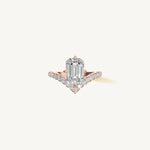 The Sagitta — EMERALD 0.5 