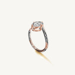The Liane — OVAL 0.5 