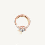 The Sagitta — ASSCHER 0.5 
