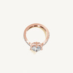 The Sagitta — ROUND 0.5 