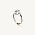 The Liane — OVAL 0.5 