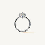 The Liane — PEAR 0.5 