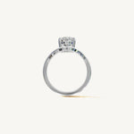 The Sancia — PEAR 0.5 