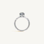 The Sancia — PEAR 0.5 