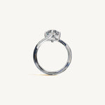The Liane — OVAL 0.5 
