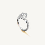 The Sagitta — PEAR 0.5 