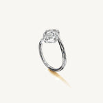 The Liane — OVAL 0.5 
