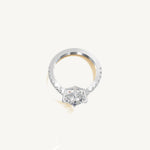 The Sagitta — ASSCHER 0.5 