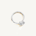 The Liane — ASSCHER 0.5 