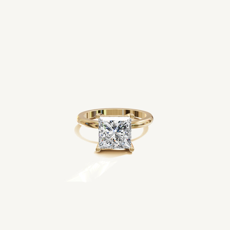 Solène — Princess 3.00ct 3D