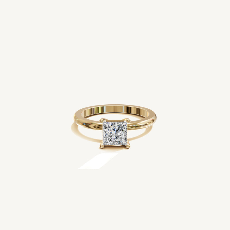 Solène — Princess 1.00ct 3D