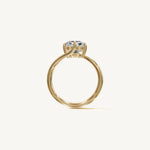 The Liane — ASSCHER 0.5 