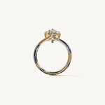 The Liane — OVAL 0.5 