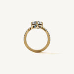 The Sagitta — ASSCHER 0.5 