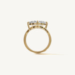 The Sancia — MARQUISE 0.5 