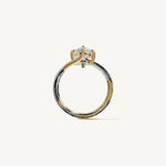 The Liane — PEAR 0.5 