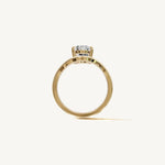 The Sancia — OVAL 0.5 