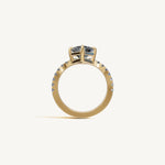 The Sagitta — ASSCHER 0.5 