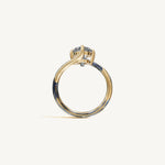 The Liane — PEAR 0.5 