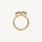 The Sancia — MARQUISE 0.5 