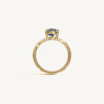 The Sancia — OVAL 0.5 