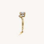 The Sancia — ASSCHER 0.5 